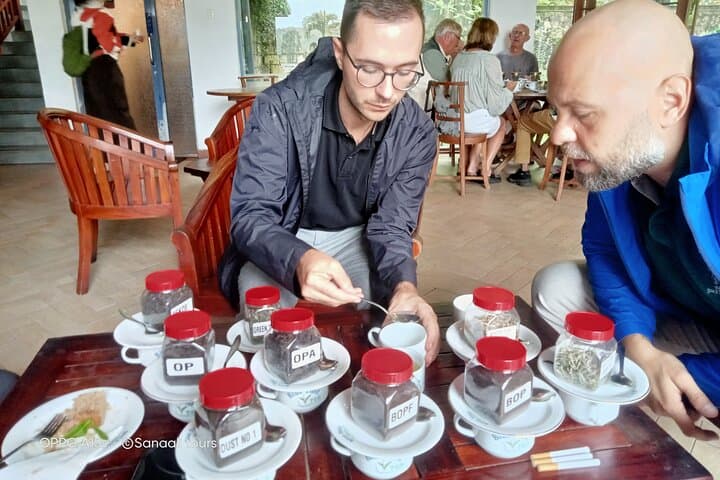 Nuwara Eliya Tea Factories & Waterfall Day Tour — Tea Plucking, Tastings & Views photo 4