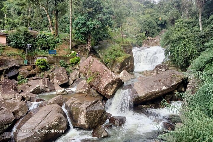 Nuwara Eliya Tea Factories & Waterfall Day Tour — Tea Plucking, Tastings & Views photo 5