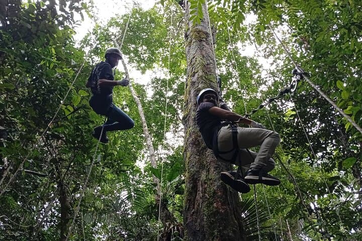 4-Day Extreme Amazon Jungle Adventure from Puerto Nariño photo 4