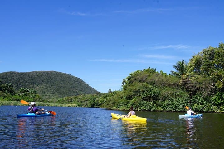 Guided Kayak Tour of Mitan Pond Mangroves — Deshaies, Guadeloupe photo 5
