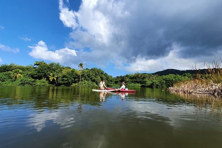 Mitan Pond Kayak & SUP Rental: Paddle Mangroves and Secret Beaches in Deshaies photo 3