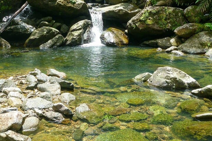 Hidden Waterfall Hike in El Yunque Rainforest — Remote River, Blue Pools & Cliff-Jumping photo 4