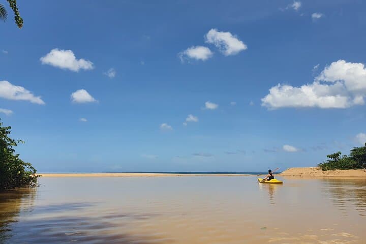 Mitan Pond Kayak & SUP Rental: Paddle Mangroves and Secret Beaches in Deshaies photo 4