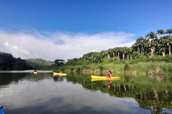 Mitan Pond Kayak & SUP Rental: Paddle Mangroves and Secret Beaches in Deshaies photo 1
