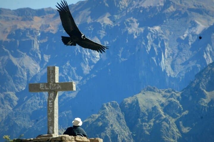 Colca Canyon Full-Day from Arequipa — Condors, Terraces & Hot Springs photo 3