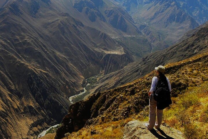 Colca Canyon Full-Day from Arequipa — Condors, Terraces & Hot Springs photo 4