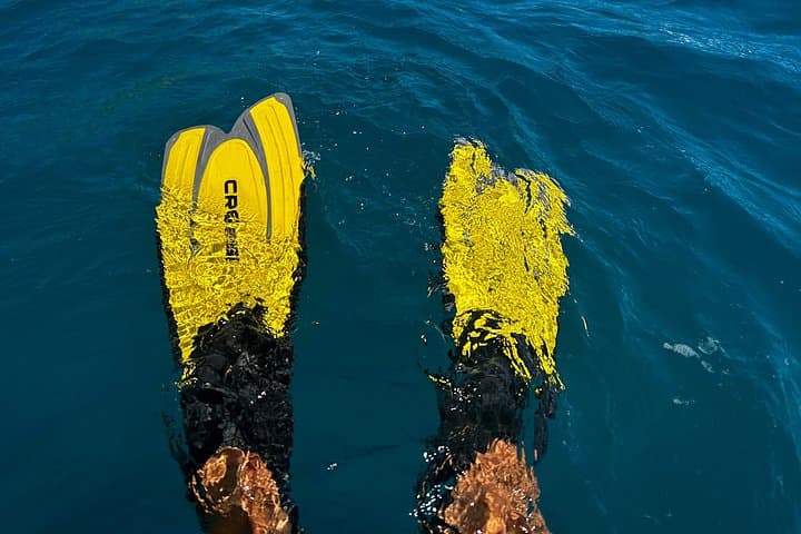 Coastal Circumnavigation: Private 4-Hour Capri Boat Tour with Swims & Grottos photo 2