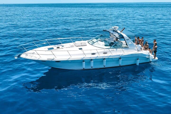 Madeira Whale & Dolphin Watching from Calheta: Motor-Yacht Cruise and Snorkel photo 2
