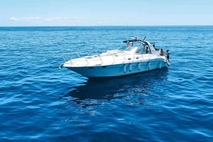 Madeira Whale & Dolphin Watching from Calheta: Motor-Yacht Cruise and Snorkel photo 4