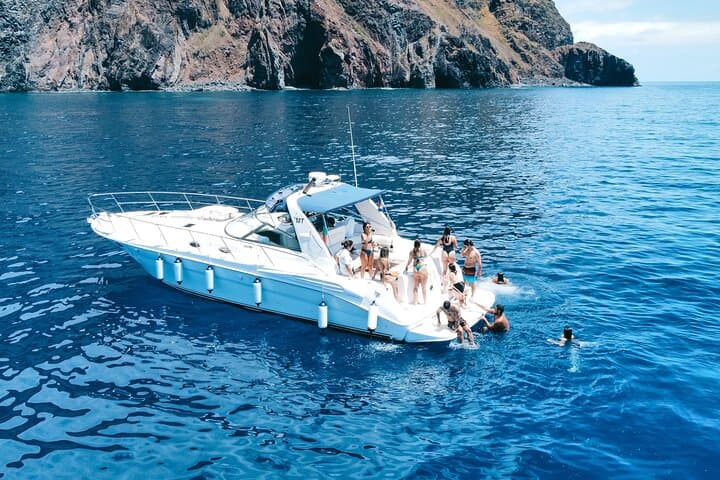 Madeira Whale & Dolphin Watching from Calheta: Motor-Yacht Cruise and Snorkel photo 6