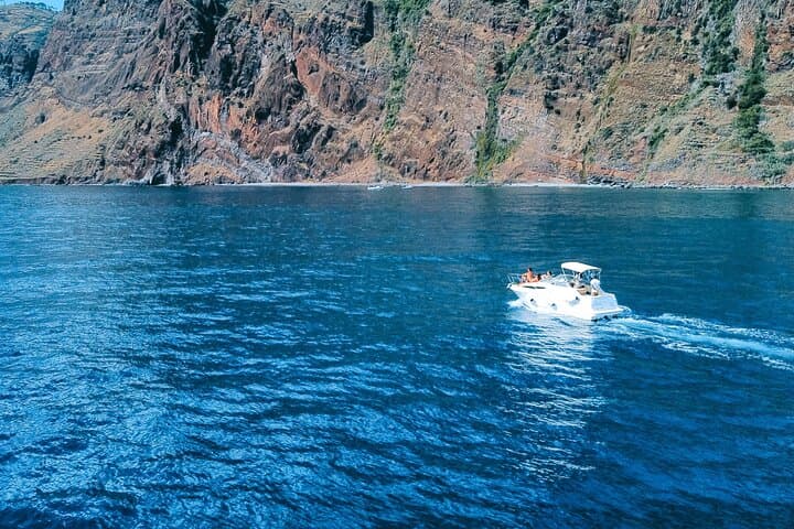 Private Dolphin and Whale Watching Yacht Tour from Calheta, Madeira photo 5