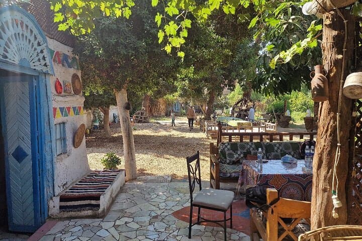 Farm-to-Table Cooking Class with a Soulful Farmer in Luxor