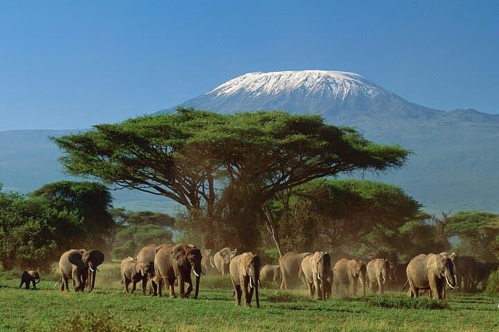 Luxury 5-Day Safari: Tsavo East & West plus Amboseli from Nairobi photo 1