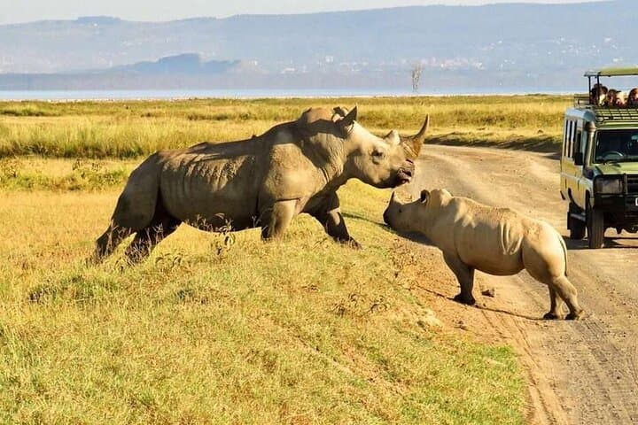 Luxury 5-Day Safari: Tsavo East & West plus Amboseli from Nairobi photo 4