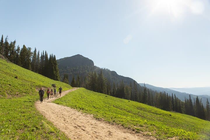 Explore Yellowstone National Park: A Full Day Private Tour of Its Iconic Geology and Wildlife photo 6