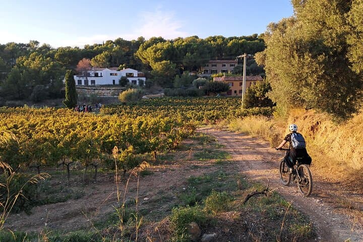 Explore the Calanques by Electric Mountain Bike: Cassis Virtual-Guide Rentals photo 6