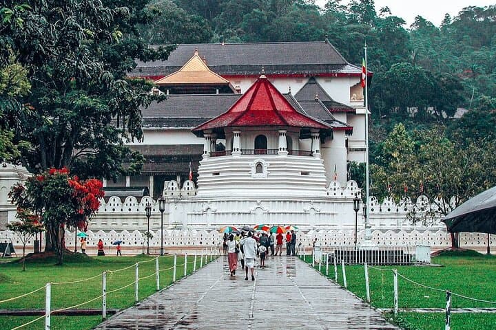 Kandy All-Inclusive Day Tour from Colombo: Temple, Gardens & Tea