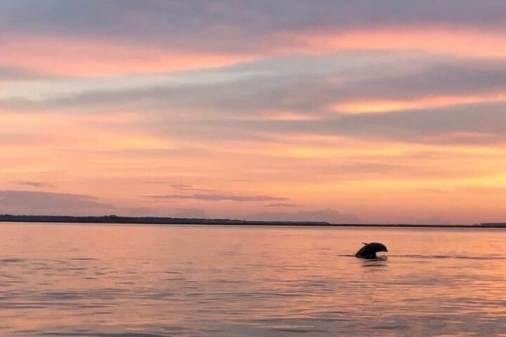 Private Sunset & Fireworks Dolphin Tour on Hilton Head Island photo 4