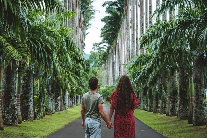 Kandy All-Inclusive Day Tour from Colombo: Temple, Gardens & Tea photo 5