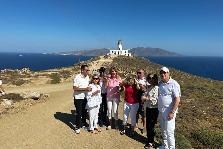 Mykonos Beach Escape for Cruise Ship Passengers — Flexible Half‑Day Beaches & Town Tour photo 4