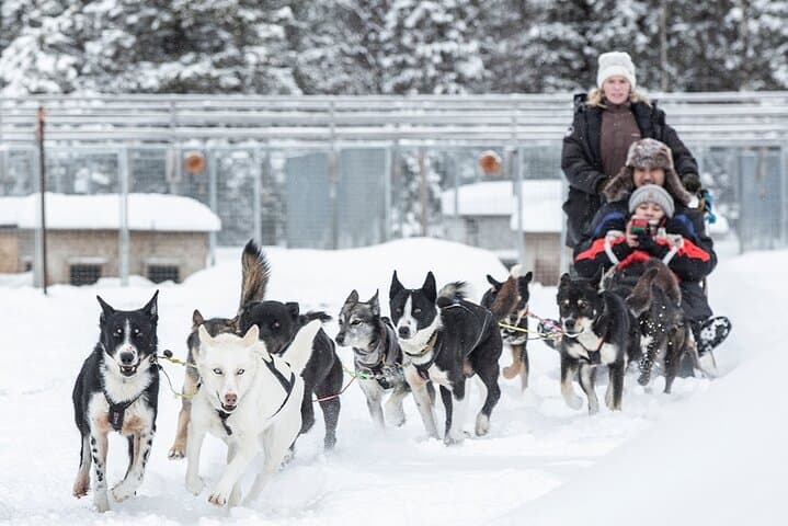 Sunset Zen Husky Tour: Kiruna Dog Sledding at Dusk photo 4
