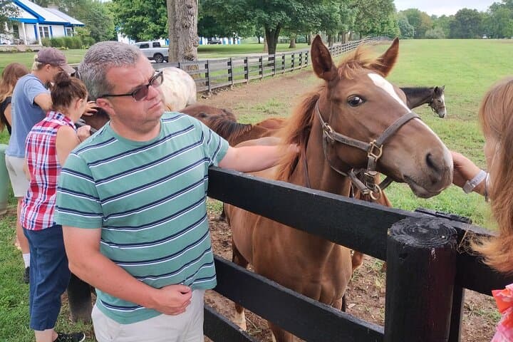 Lexington Thoroughbred Farm Tour — Half-Day at Keeneland & Bluegrass Horse Country photo 3