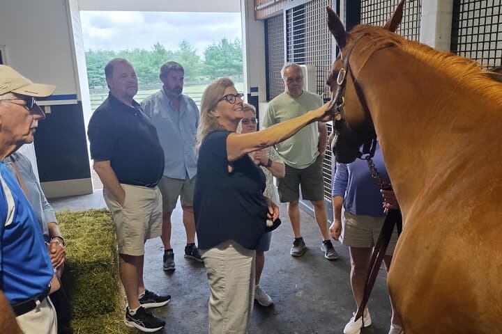 Lexington Thoroughbred Farm Tour — Half-Day at Keeneland & Bluegrass Horse Country photo 6