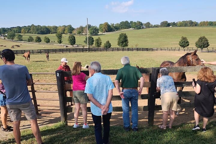 Lexington Thoroughbred Farm Tour — Half-Day at Keeneland & Bluegrass Horse Country photo 4