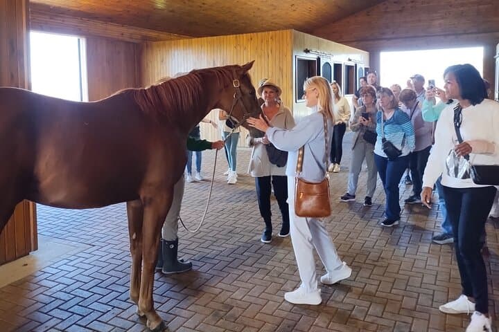 Lexington Thoroughbred Farm Tour — Half-Day at Keeneland & Bluegrass Horse Country