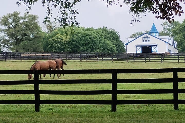 Lexington Thoroughbred Farm Tour — Half-Day at Keeneland & Bluegrass Horse Country photo 2