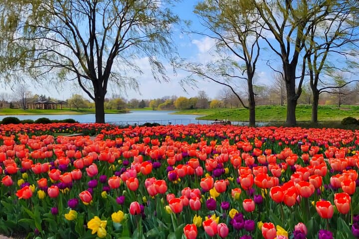 Chicago Suburbs Hidden Gems: North Shore Small-Group Day Tour photo 2