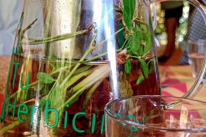 Wild and Medicinal Plants Tour in Dominica — Tea, Waterfalls & Hot Mineral Pools