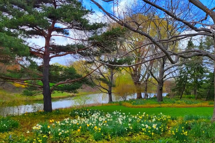 Chicago Suburbs Hidden Gems: North Shore Small-Group Day Tour photo 5