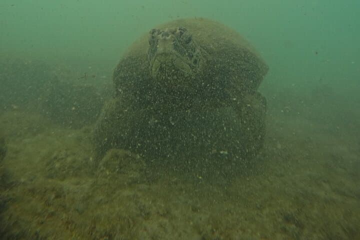 Tour 360 San Cristobal Galapagos: Full-Day Snorkel and Coastal Boat Experience photo 2