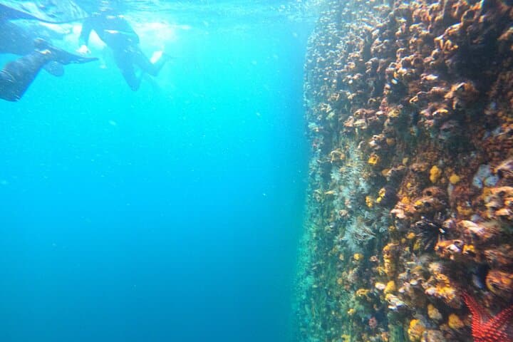 Tour 360 San Cristobal Galapagos: Full-Day Snorkel and Coastal Boat Experience photo 4