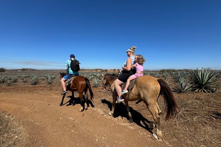 Mazatlán Jungle and Beach Horseback Ride with Mezcal Tasting photo 2