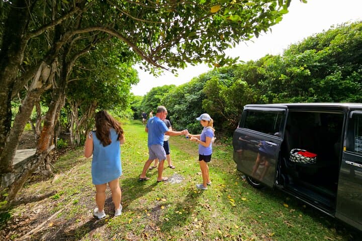 Spice Isle by Van