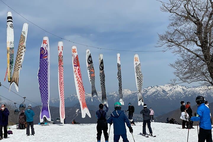VIP Hidden Niigata Tour: Artisans, Farms & Secret Onsens photo 2
