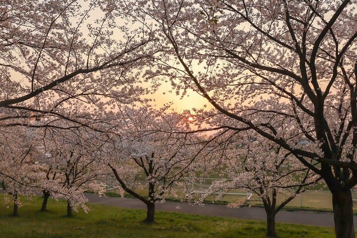 VIP Hidden Niigata Tour: Artisans, Farms & Secret Onsens photo 3