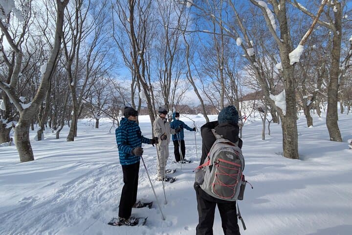 Winter Bites: Snowshoe a Hakkoda Forest and Taste Aomori's Winter Traditions
