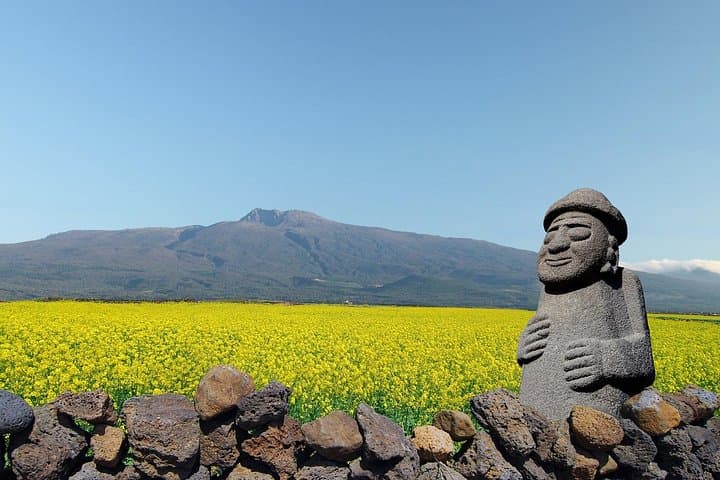 Exploring Jeju’s West and South: Canola Blooms, Volcanic Cliffs, and Hallasan Heritage photo 2