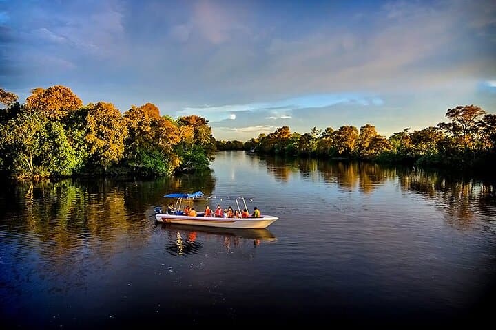 Klias Mangrove Wildlife Cruise: Proboscis Monkeys and Firefly Night Tour