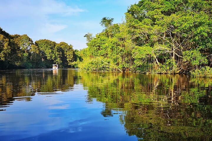 Klias Mangrove Wildlife Cruise: Proboscis Monkeys and Firefly Night Tour photo 3