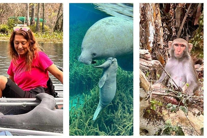 Clear Kayak Tours at Silver Springs: Manatees, Monkeys & Film History photo 1