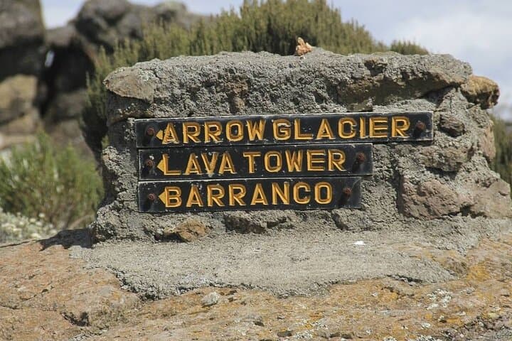 Seven-Day Machame Route Guide: Climb Mount Kilimanjaro with Airport Transfers photo 5