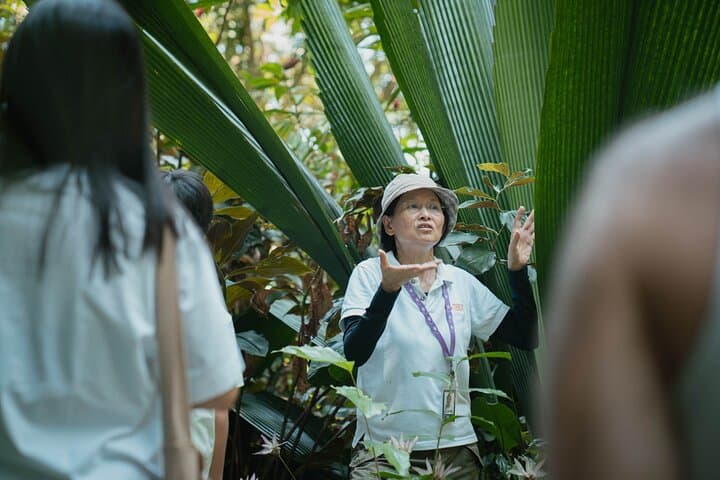 Explore Penang's Tropical Spice Garden: Guided Tours & Entrance Tickets
