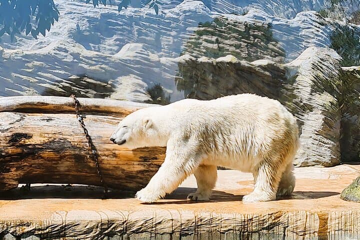 Prague Zoo Ticket with Online Audio Guide — Self-Guided Visit to Troja Zoo