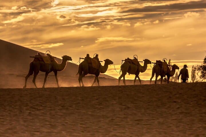 3-Day Private Silk Road Tour: Dunhuang, Mogao Grottoes & Han Dynasty Passes