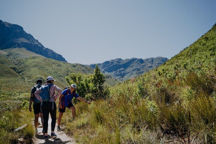 E-Bike and Hike Jonkershoek: Waterfall Trail from Stellenbosch Wine Country photo 3