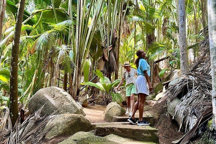 Private Praslin Island Tour: Hike Fond Ferdinand, Beaches & Coco de Mer photo 5